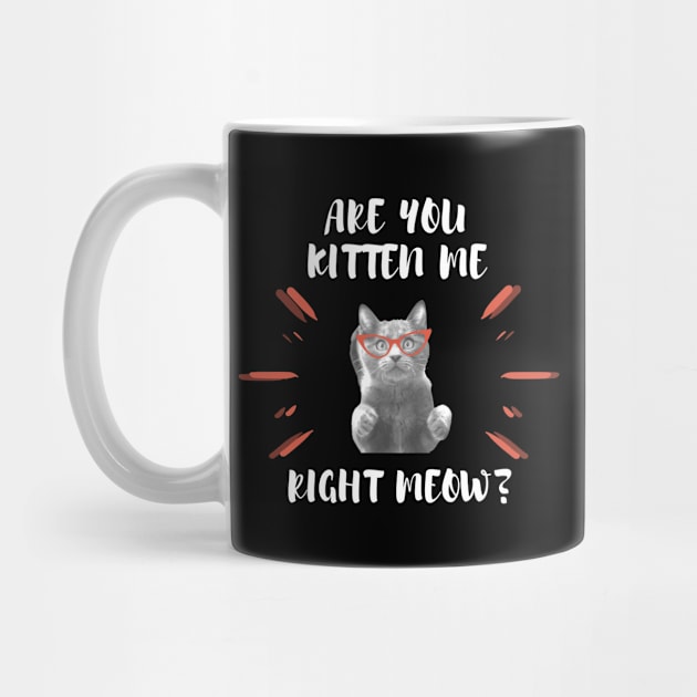Are you Kitten Me Right Neow by Dawah Giraffe